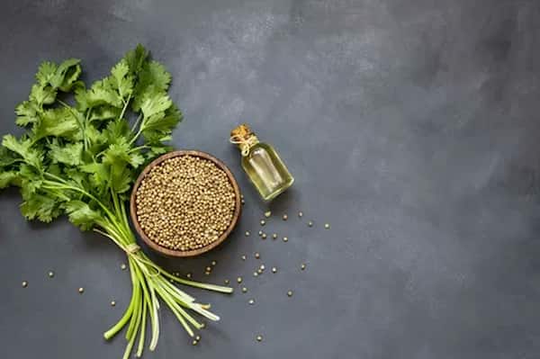 تصویر 3 از قیمت تخم گشنیز خشک شده با کیفیت ارزان + خرید عمده